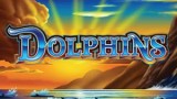 Dolphins Slot Machine