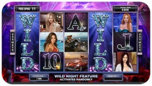 Playboy Slot Machine Wild Night Free Spins