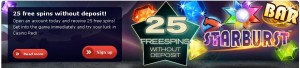 An Online Casino 25 Free Spins