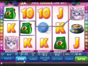 Cute and Fluffy Slot Machine Dafabet Casino