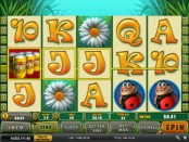 Happy Bugs Slot Machine Dafabet Casino