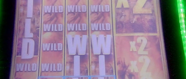 Jackpot Handpay on The Walking Dead Slot Machine at the Hard Rock Hotel and Casino Las Vegas Nevada