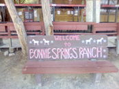 Welcome Sign Photo from Bonnie Springs, Nevada, USA