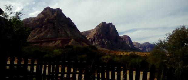 Photo from Bonnie Springs, Nevada, USA