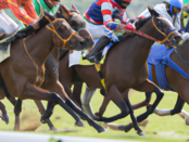 There Are No Certain Winners When It Comes To Horse Racing